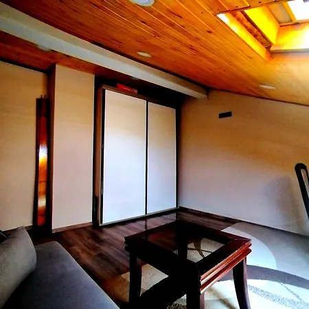 Attic Apartament